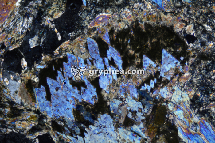 Glaucophane LPA x25 - gryphea.com